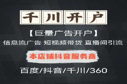 百度竞价推广运营实战技巧与经典案例剖析